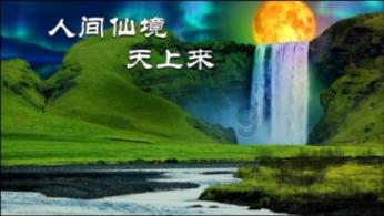 蛇蛇足球赛