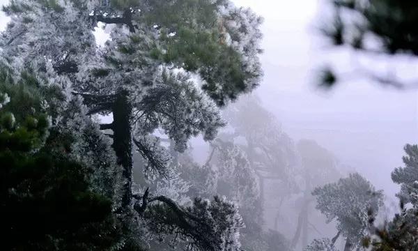“谢谢热心的重庆人！”广州旅客不慎丢失电脑，幸好遇到耿直公交司机……