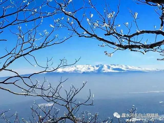 4399全民坦克