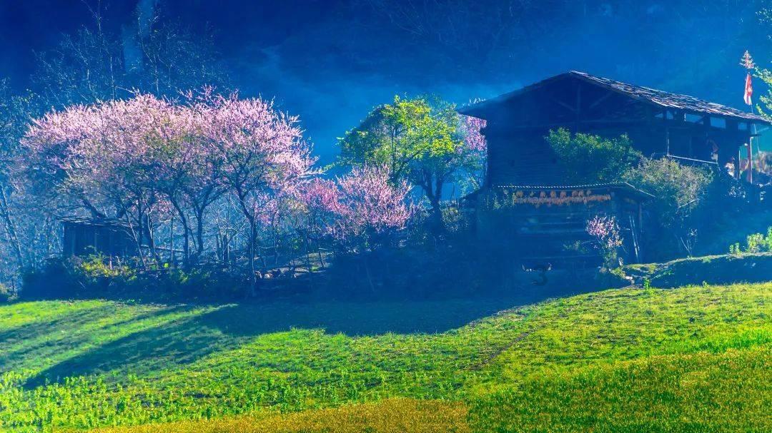 中餐厅之小凯厨神