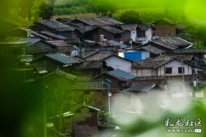 枪血黑手党