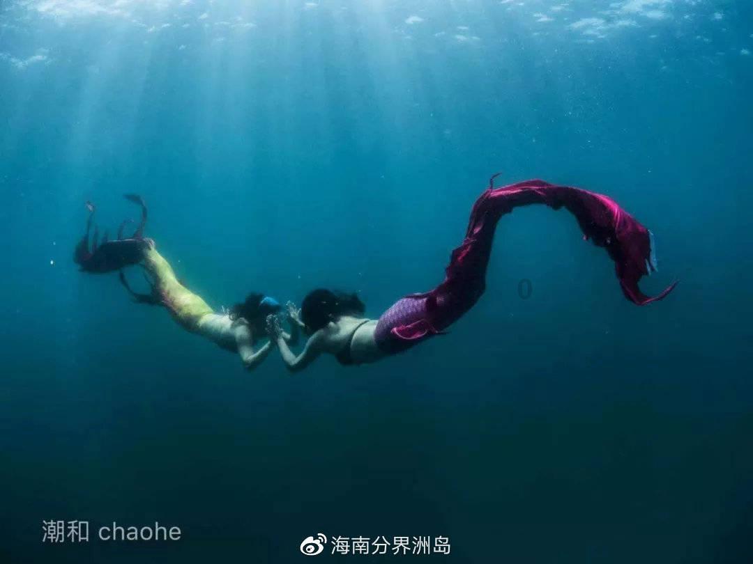 两岸企业协同合作竞逐汽车产业新赛道