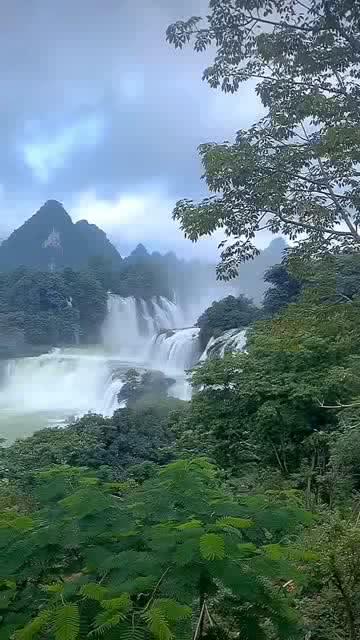 上班族救援