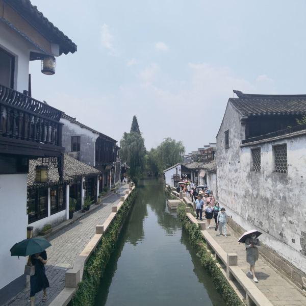 小恐龙来找茬