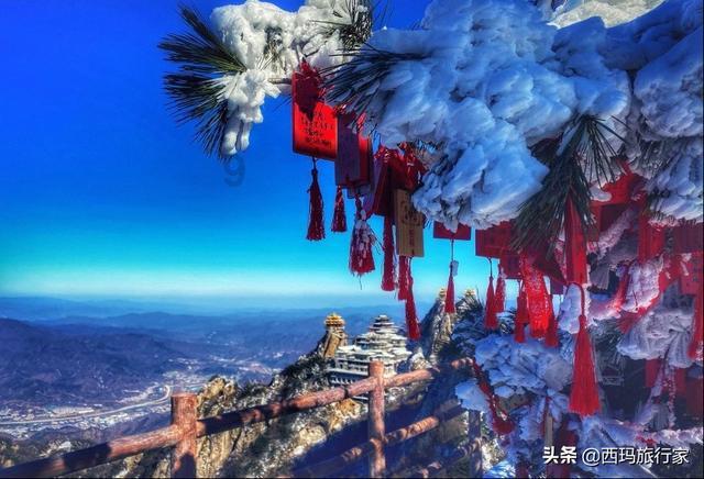 红桃k和桂花可以一起酿酒吗?游戏画面